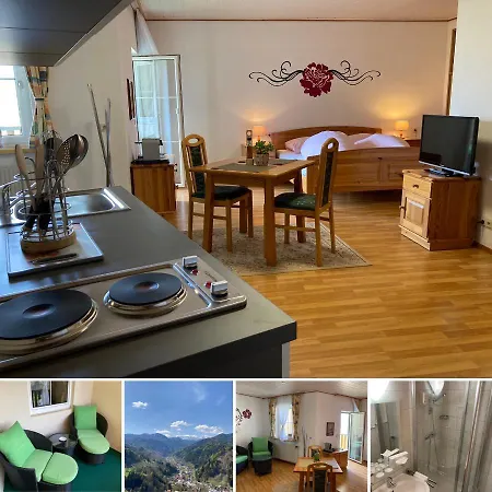 Brunner Apartments&zimmer